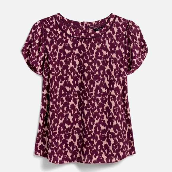 Short sleeve shirt bundle. Size XSP - Picture 6 of 8